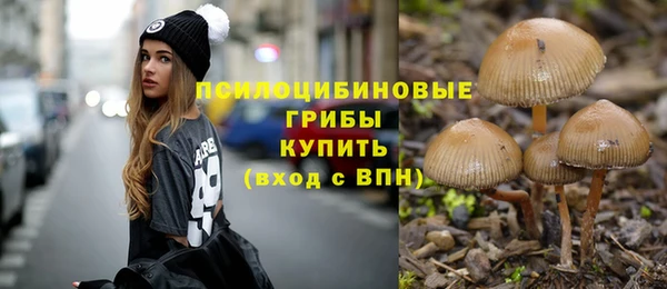 прущие грибы Арсеньев