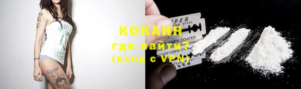крисы Алзамай