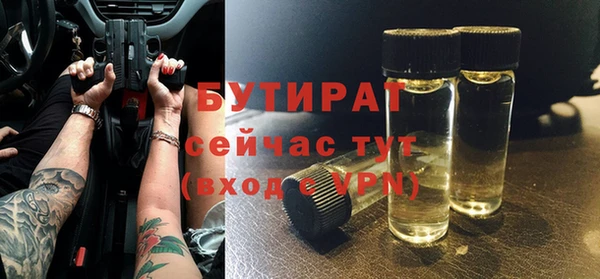 индика Елизово