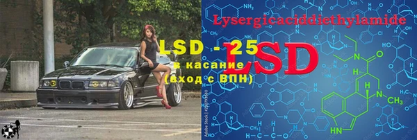 крисы Алзамай