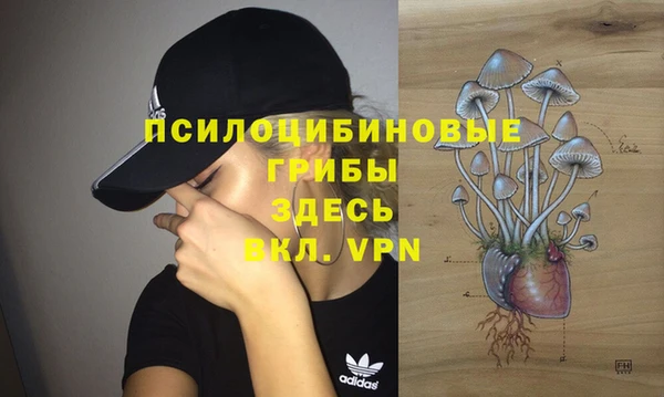 СК Алексеевка
