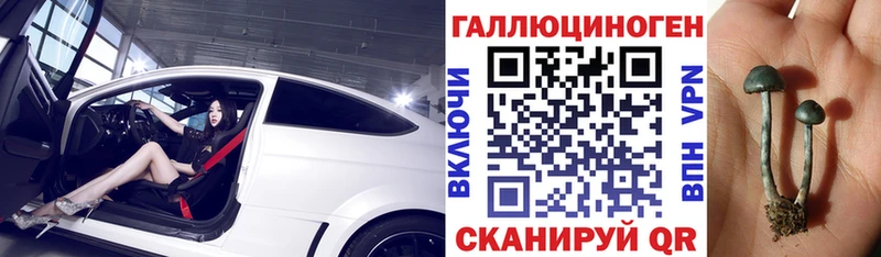 Галлюциногенные грибы мицелий  где можно купить   Большой Камень 